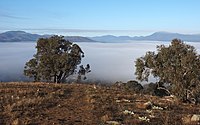 View towards Mount Tuggeranong from Wanniassa Hills Nature Reserve on a misty morning