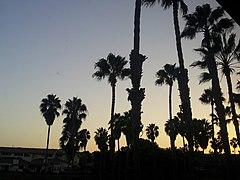 Manhattan Beach, CA, USA - panoramio (4).jpg