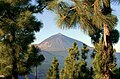 Pico del Teide