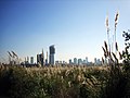 English: The Buildings of downtown Buenos Aires seen from the ecological reserve located in the argentine bank of the River Plate. Español: Edificios del centro financiero de Buenos Aires vistos desde la reserva ecológica