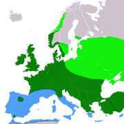 European range