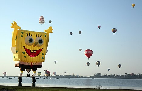 Leon hot air balloon festival 2010