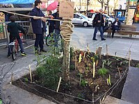 Guerrilla gardening, Nuit debout (photo) on Place de la République (Paris) (10 April 2016)