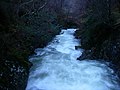 Thumbnail for File:Coe Gorge - geograph.org.uk - 289877.jpg