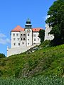 Pieskowa Skała Castle View I