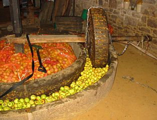 Horse-driven apple crusher in Jersey