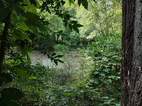 Biotopo Wangerau