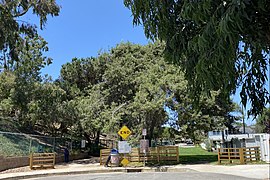 Sand Dune Park, Manhattan Beach, California.jpg