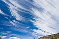 "Cirrus_clouds_mar08.jpg" by User:Fir0002