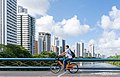 77 Man biking on Recife city uploaded by Wilfredor, nominated by ArionEstar,  11,  3,  1