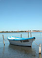 Barque à Marseillan.