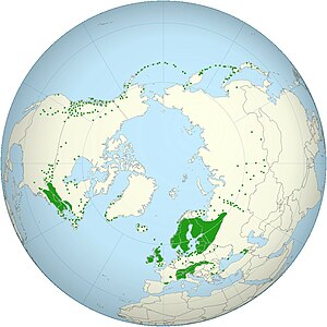 Neottia cordata - world distribution