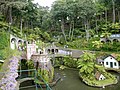 Tropical garden with Azulejos in Monte