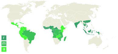 World map of coffee plantations.