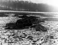 German soldiers who attempted to storm the 101st Airborne command post in Bastogne, lie dead on the ground after they were mowed down by American machine gun fire. The tanks, behind which they were advancing, were knocked out also. This photo was taken while Bastogne was still under siege (12/25/44)