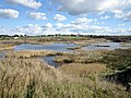 L'étang du Petit Loc'h (réserve naturelle).