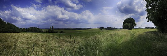 A part of Mettmann - panoramio (18).jpg