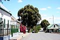 Calitzdorp, Western Cape, South Africa