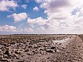 Wierum (Noardeast-Fryslân), Zicht op de Waddenzee vanaf de zeedijk. (Golfbrekers en slikvelden.)