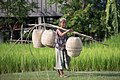 40 Woman under yoke carrying wicker baskets uploaded by Basile Morin, nominated by Basile Morin