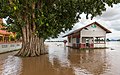 103 Flooded building and tree trunk in the muddy water of the Mekong in Si Phan Don, Laos, September 2019 uploaded by Basile Morin, nominated by Basile Morin,  8,  3,  0