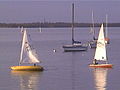 Hoofers' Laser sailboats on Lake Mendota