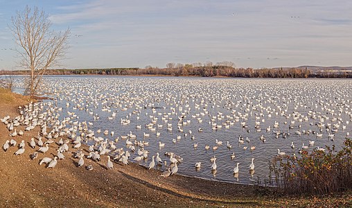 "Pano_Parc_du_réservoir_Beaudet.jpg" by User:Wilfredor