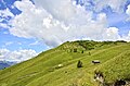 English: East view at the Mussen alp Deutsch: Ost-Ansicht der Mussen-Alm