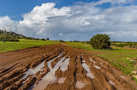 Muddy road in Akamas Peninsula, Cyprus