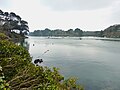 L'Aven et, en arrière-plan, l'anse de Pouldon et la rive droite de l'Aven en direction de Port-Manech vus depuis lle sentier littoral GR 34 de la rive gauche de l'Aven entre Goulet Riec et la pointe de Penquernéo.