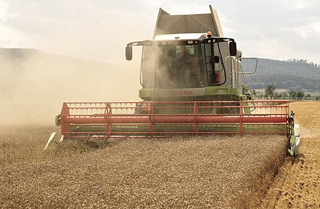 The combine Claas Lexion 584 in the wheat harvest