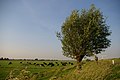 Overview of Ronde Hoep polder, south of Amsterdam