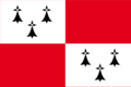 Flag-Pays-Dol.png PNG: historical flag of Pays de Dol (Bro Zol), Brittany, France.