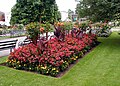 A flower bed in the gardens of Bristol Zoo.