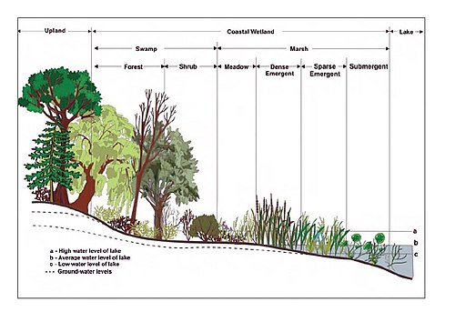 USGS image cropped.jpg