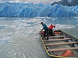 grey glacier