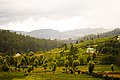 Nilgiri Mountains