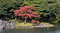 Koishikawa Kōrakuen Garden (Tokyo)