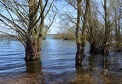 Lac de Der