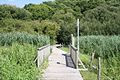 Sentier du Loc'h : passerelle.