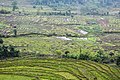 Paysage du Sikkim