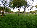 Setia Indah Park