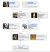 Tutankhamun's Ancestors Family Tree.png