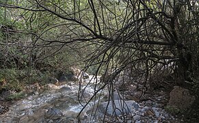 5. Barranc de Castrocit (Serra de Sis-Beranui).jpg