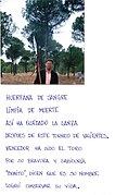 Poema al toro indultado en 1993 de nombre "Bonito"