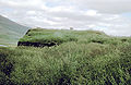 July or August 1972 Traditional grass-covered house in Iceland