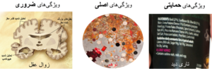 Thumbnail for File:علائم مختلف موجود در زوال عقل با اجسام لویی.png