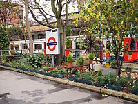 The garden on the above-ground platforms at South Kensington tube station in London