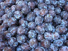 plums blue fruit