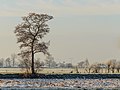 Omkromte Broek, gemeente De Fryske Marren